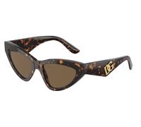 Dolce & Gabbana Sunglasses DG4439 502/73 Havana brown Woman