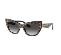 Dolce&Gabbana Woman Sunglass DG4417 - Frame color: Leo Brown/Black, Lens color: Grey Gradient