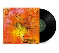 Doldinger's Motherhood - Motherhood - Vinyl - 2024 Remaster - Rhino