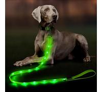 Dolitego Light Up Dog Leash, 5 Ft LED Dog Leash Rechargeable Pet Leashes Glow in The Dark Dog Lights for Night Walking (Green)