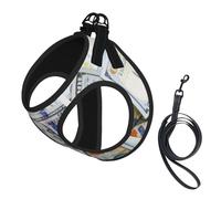Dollar Bill No Pull Dog Harness and Leash Set, Cute Reflective Adjustable Vest for Small Dogs,Breathable Mesh Puppy Harness for Walking Hiking,Small