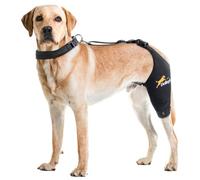 Dollephi Dog Knee Brace for Torn ACL Hind Leg, Hot/Cold Compress for Patella Dislocation or Osteoarthritis, Cruciate Ligament Injuries, for Medium & Large Dogs(Left Leg,L)