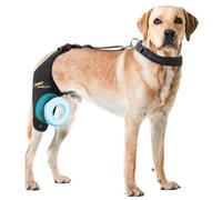 Dollephi Dog Knee Brace for Torn ACL Hind Leg, Support for Patella Dislocation or Osteoarthritis, Cruciate Ligament Injuries, Cut-Out Non-Slip Wrap Promotes Patellar Stability((Right Leg,M)