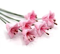 Dolls House Lilies 6 Pink Lily Flowers on Stem Miniature Garden Vase Accessory