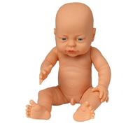 DOLLSWORLD from Peterkin | Early Moments Doll 78552 | 41cm (16") fully jointed, anatomically correct, bathable male doll | Dolls & Accessories | Ages 18m+, Atlantic