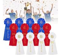 Dolltobe First Second Third Place Rosette, Twelve Pcs Award Ribbons Set, Multicolored Victory Ribbons, Sports Events Winner Prize Ribbons, Honorable Medals For Classrooms, Competitions