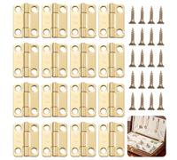 dolltobe Hinges for Various Projects, Pre-Drilled, Quality Rustproof Steel, 16 Pcs Hinges for Wooden Box, 66 Screws, Stainless, Mini
