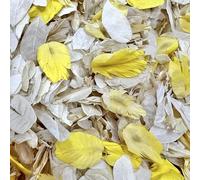 Dollz Confetti Biodegradable Ivory & Yellow Wedding Flower - 1 Litre Natural Dried Petals for Decorations, Aisle, Festivals, girl basket and more (Ivory Yellow) (IvoryPFF)