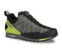 Dolomite Crodarosso Low GTX 2.0 Shoe : Silver Green: 8 Size: 8, Colour