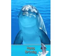 Dolphin Birthday Card