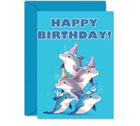 Dolphin Birthday Cards for Her or Him, Party Animals Pyramid