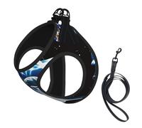 Dolphin Earth Printing Dog Summer Harness With Leash Set,Adjustable And Reflective Step-In Puppy Pet Vest Harnesses