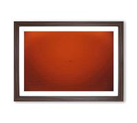Dolphin in The Distance Framed Print | A2 Walnut Framed Wall Art | Ready to Hang | Modern Animal Picture | Living Room Bedroom Lounge Office
