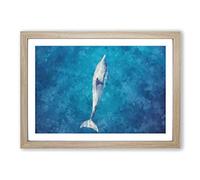 Dolphin Leading The Way Painting Framed Print | A2 Oak Framed Wall Art | Ready to Hang | Modern Animal Picture | Living Room Bedroom Lounge Office