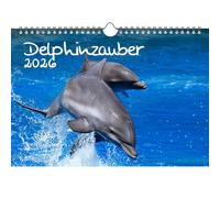 Dolphin Magic DIN A4 Calendar for 2026 Dolphin Seelenzauber
