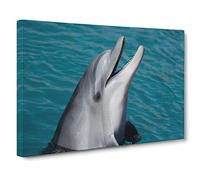 Dolphin No.2 Canvas Print | Gallery Wrapped 30mm Frame Wall Art | 20x14 inches | Ready to Hang | Modern Animals Picture | Living Room Bedroom Lounge Office