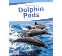 Dolphin Pods