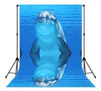 Dolphin With A Smile Printed Photography Backdrop, Photo Booth Backdrop For Photoshoot With Rod Pocket For Studio, Family Photos, Video Recording & Event Decor - 5x7ft
