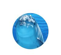 Dolphin With A Smile Printing 10 Pcs Car Air Freshener Hanging Sheets Scented Hanging Sheets With Rope For Home