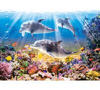 Dolphin World