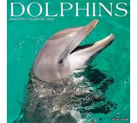Dolphins 2026 12 X 12 Wall Calendar