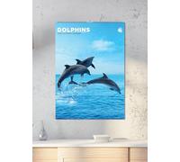 Dolphins 2026 Calendar, A3, Wirobound, Full Colour