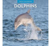 Dolphins - 2026 Square Wall Calendar - by Red Robin Publishing
