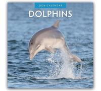 Dolphins 2026 Square Wall Calendar: Original Red Robin Publishing Ltd-Kalender [Mehrsprachig] [Kalender]