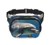 Dolphins Bluewaist Bag for Men Women - Adjustable Double Fanny Pack for Travel, Sports, and Daily