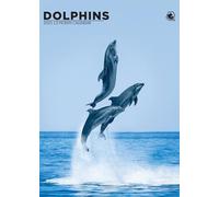 Dolphins Calendar 2025