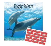 Dolphins Calendar 2026 | 16 months | with FREE Organisational Stickers, Dolphins Gift