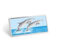 Dolphins Flying and Playing Stainless Steel Name Plate with Pin,Durable Personalized Name Tags,Name Badge for Business Work Lable Sign 1.4 * 2.8 in