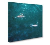Dolphins Heading North Canvas Print | Gallery Wrapped 30mm Frame Wall Art | 20x20 inches | Ready to Hang | Modern Animal Picture | Living Room Bedroom Lounge Office