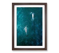 Dolphins Heading North Framed Print | A2 Walnut Framed Wall Art | Ready to Hang | Modern Animal Picture | Living Room Bedroom Lounge Office