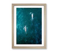 Dolphins Heading North Modern Framed Print | A2 Oak Framed Wall Art | Ready to Hang | Modern Animal Picture | Living Room Bedroom Lounge Office