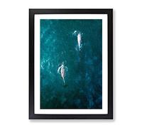 Dolphins Heading North Modern Framed Print | A3 Black Framed Wall Art | Ready to Hang | Modern Animal Picture | Living Room Bedroom Lounge Office