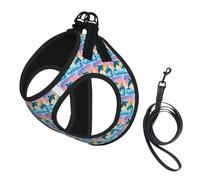 Dolphins in Love Print Step in Dog Harness and Leash Set,Adjustable Reflective Harness for Small Dogs Cats