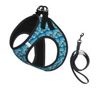 Dolphins in Love Print Step in Dog Harness and Leash Set,Adjustable Reflective Harness for Small Dogs Cats