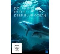 Dolphins in the Deep Blue Ocean
