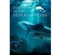 Dolphins in The Deep Blue Ocean