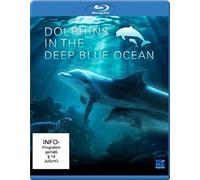 Dolphins in the Deep Blue Ocean
