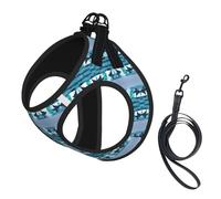 Dolphins in the sea 1 Print Step in Dog Harness and Leash Set,Adjustable Reflective Harness for Small Dogs Cats