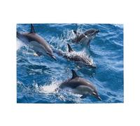 Dolphins In The Sea,500 Pieces Puzzles for Adults-Wooden Jigsaw Puzzle for Adults Elderly