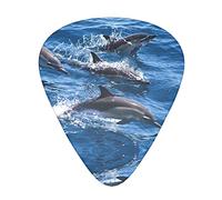 Dolphins in the sea Advanced guitar pick 12 pieces Three thicknesses for bass, electric guitar, acoustic guitar bag