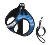 Dolphins In The Sea,Pet Harness,Adjustable Reflective Dog Harness,Pet Leash Vest,M