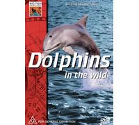 Dolphins in the Wild [DVD] [Region 1] [US Import] [NTSC]