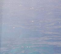 Dolphins Into The Future - On Sea Faring Isolation