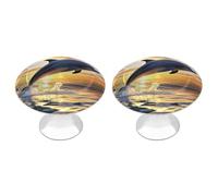 Dolphins Jumping Out of The Water at Sunset Cabinet Knobs 2 Pack Drawer Pulls Stainless Steel Dresser Knobs Rustic Decorative Cabinet Pull Easy Install Wardrobes Handle with Screws Door Handles Furnit