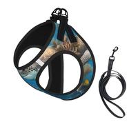 Dolphins Sea Turtle Shark Octopus Coral Reef Print Adjustable Reflective Harness Leash Set For Cats, Dogs And Small Pets, Soft Breathable Mesh Walking Vest With Escape-Proof Lead