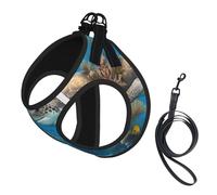 Dolphins Sea Turtle Shark Octopus Coral Reef Print Dog Harness with Leash Set with Thickened Padded Vest for Extra-Small/Small Medium Dogs